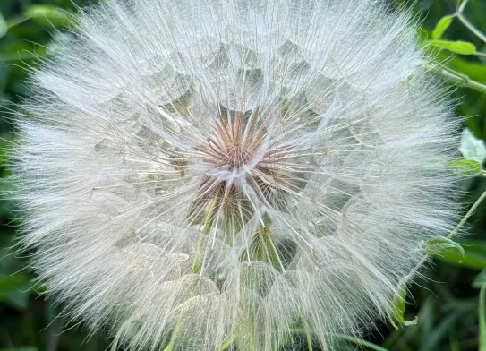 Beauty of connection