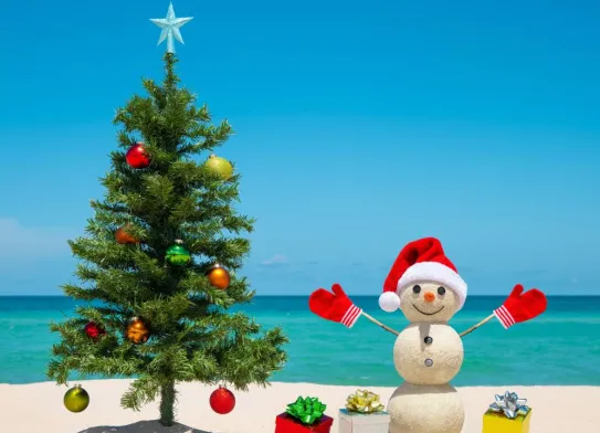 Predvianočný výlet II