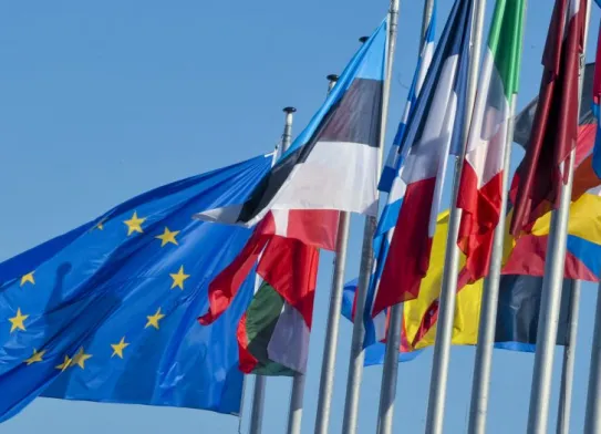 mensania v eu