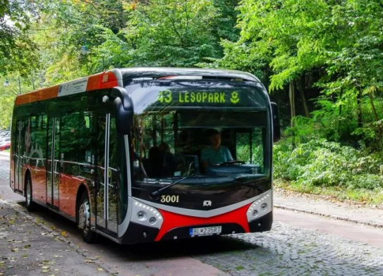 Lesoparkový výlet IV