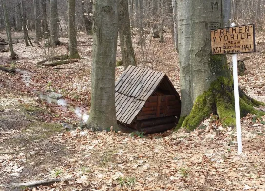 Biely vydrický výlet
