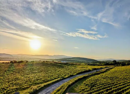 tokaj-krajina