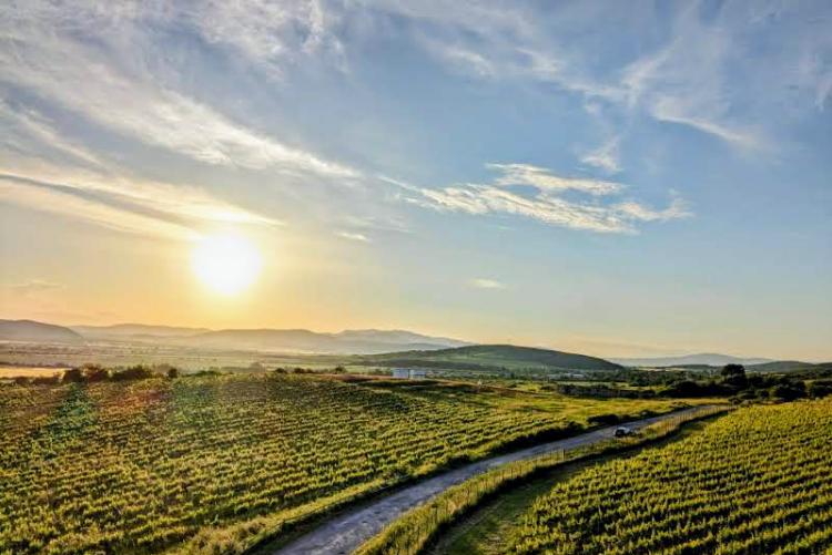 tokaj-krajina