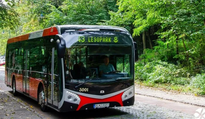 Lesoparkový výlet I