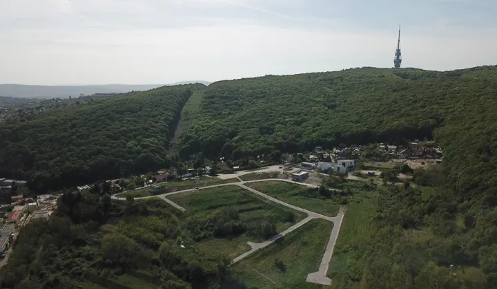 Ahoj výlet II