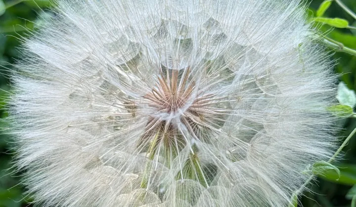 Beauty of connection