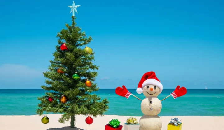 Predvianočný výlet I