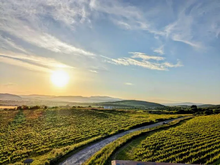 tokaj-krajina