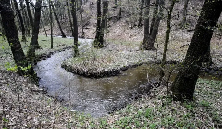 Nešťastne šťastný výlet